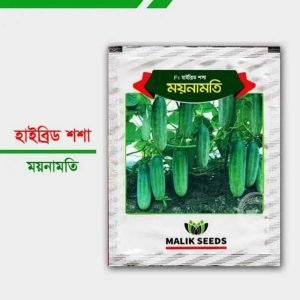 ময়নামতি হাইব্রিড শশা