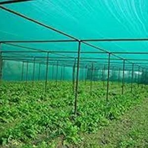 গ্রীন হাউজের সবুজ শেড নেট( ১৪ ফিট x ৫ ফিট)